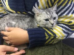 -宠颐生中康贝怡动物医院