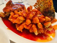 -洋洋中餐馆·SINCE 1997(龙湖星湖天街店)
