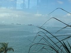 -七鲜渔港美食餐厅(巽寮湾海景店)