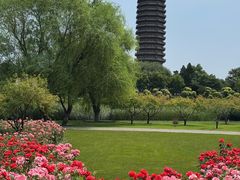 -西海子公园