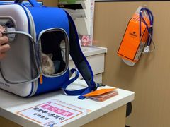 -瑞派康怡24h宠物医院·犬猫医疗中心·微创绝育(瑞景分院)