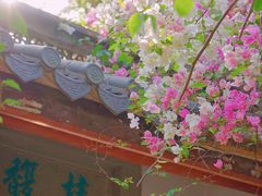 -深圳国际园林花卉博览园