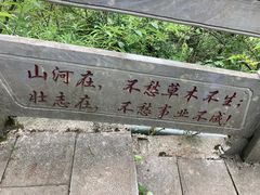 -百色大石围天坑群