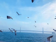 -星海湾跨海大桥