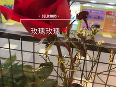 -百特喜·意大利餐厅(八佰伴镇江店)