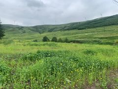 -塞罕坝国家级自然保护区