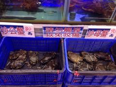 水产区-旅南活海鲜-屏东(墾丁海鮮，海鮮餐廳，墾丁團體合菜，平價熱炒，墾丁熱炒店，活海鮮推薦，在地海鮮餐廳)