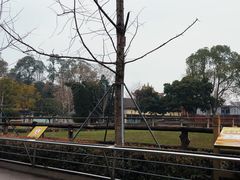 -成都动物园