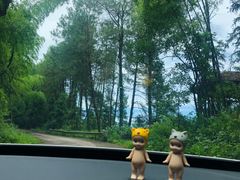 -重庆雨台山风景区