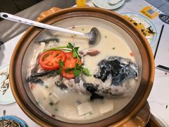 -全乐鱼馆·淳牌有机鱼直营店