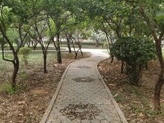 -山东大学(洪家楼校区)