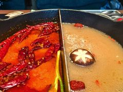 -大龙燚·旷野鲜火锅(广州首店)