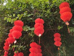 -三门江国家森林公园