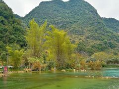 -靖西鹅泉风景区