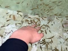 -春晖园度假酒店温泉