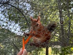 -水上乐园·欢乐世界