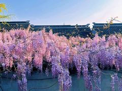 -老门东历史文化街区