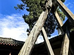 -太平天国侍王府