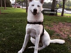 -宠颐生中康贝怡动物医院