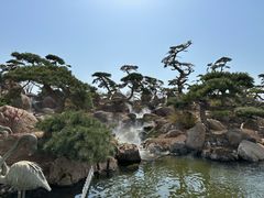 -罗红摄影艺术馆