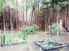 -捞渔河湿地公园