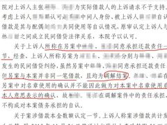 -申扬律所·柳淞仁律师团队