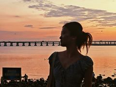 -宝安西湾红树林湿地公园