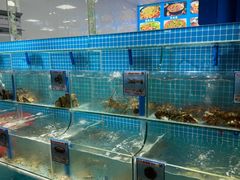 -四川小胡子海鲜(丁村万人海鲜广场店)