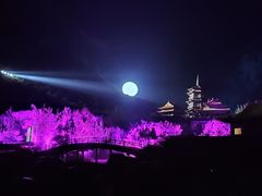 -禅宗少林·音乐大典