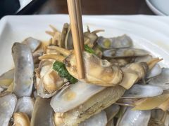 -鲁前海沿儿