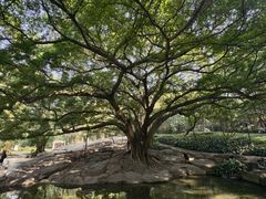 -晓港公园