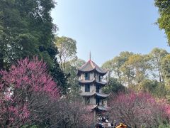 -成都杜甫草堂博物馆