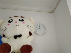 -悟空祛痘·诺奖技术专业店