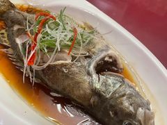 -阿莉餐厅(枣阳路店)