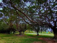 -南沙蒲洲花园