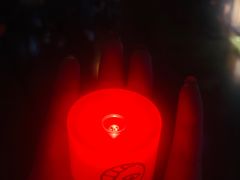 -长藤鬼校(龙翔店)