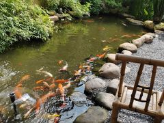 -一品烧农庄·佛山本地特色菜