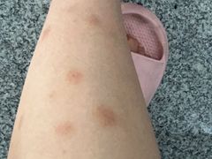 -三亚海棠湾万丽度假酒店