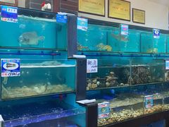 水产区-南海渔家•海鲜•正宗海南菜(海棠湾店)