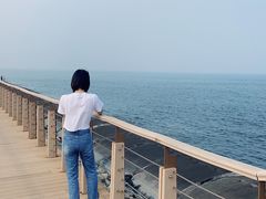 -东疆建设开发纪念公园