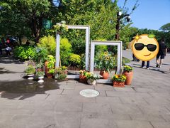 -上海滨江森林公园