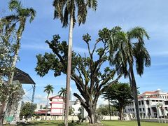 -圣公会圣乔治堂