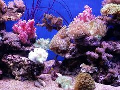 景点-多彩贵州城极地海洋世界