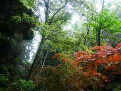 -梭布垭石林景区