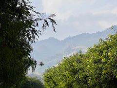 -缙云山景区