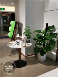 -金夫人美容
