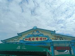 -海合安成都极地海洋公园