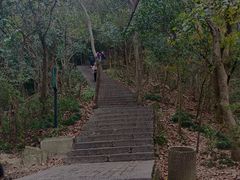 -紫金山山顶公园