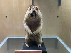 -陕西自然博物馆