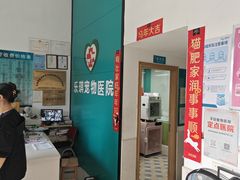 -乐琪宠物医院·犬猫专科·骨外科·急重症